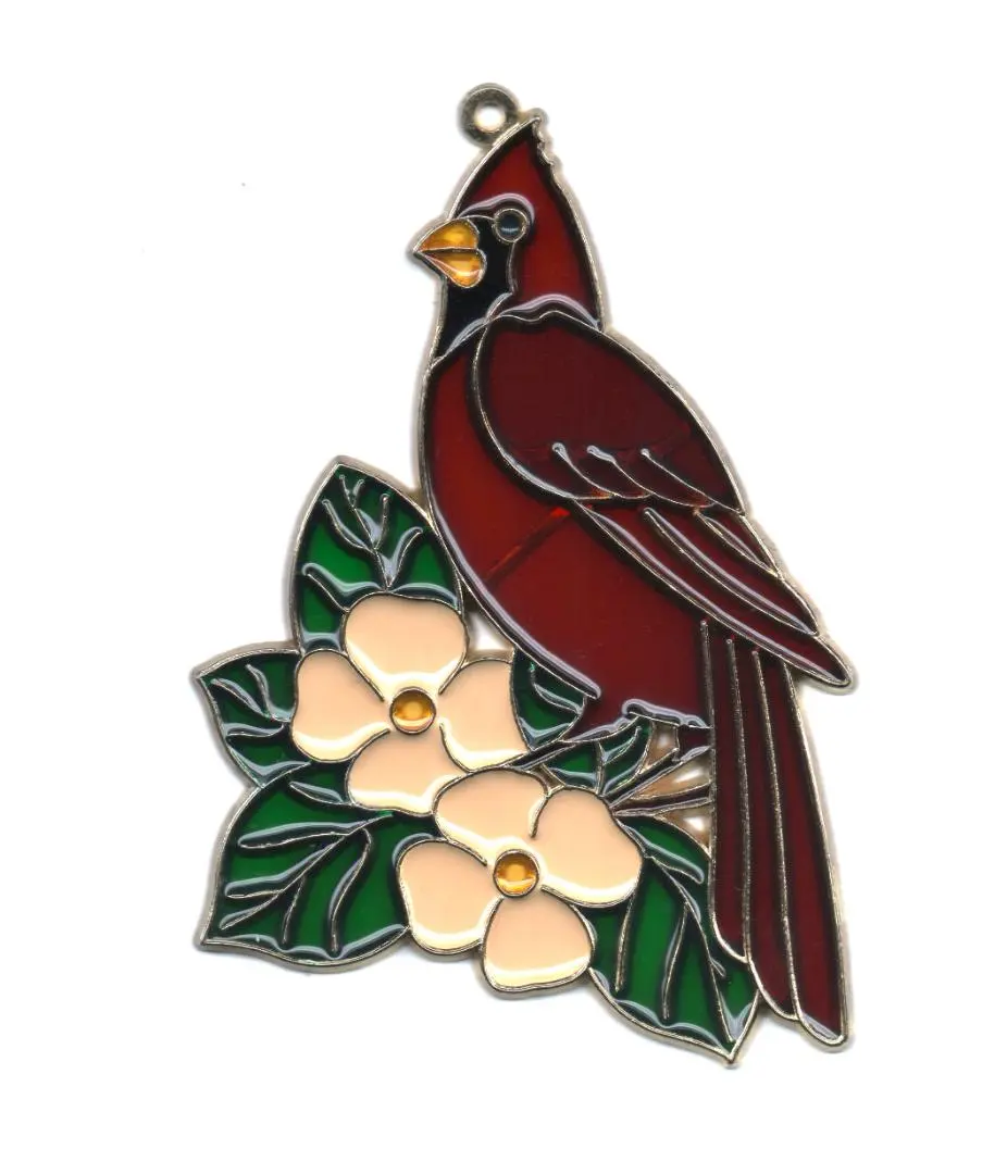 2026年最新】カーディナル 3xの人気アイテム - メルカリ