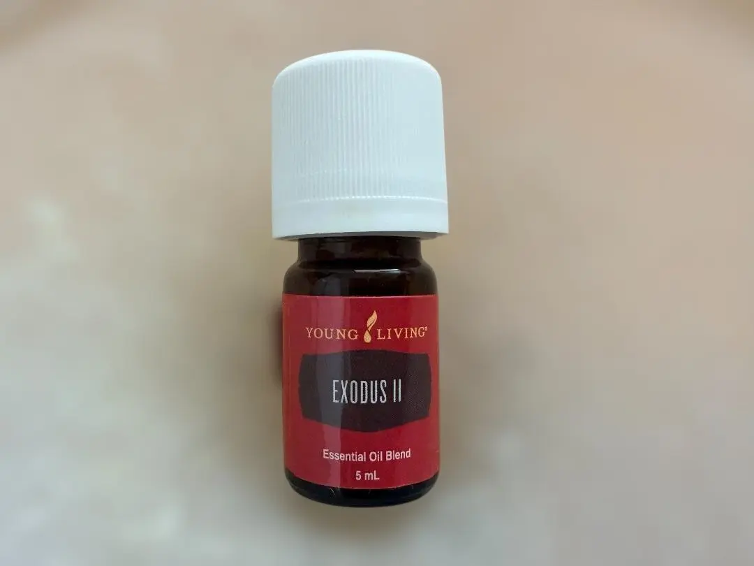 2026年最新】エクソダス ヤングの人気アイテム - メルカリ