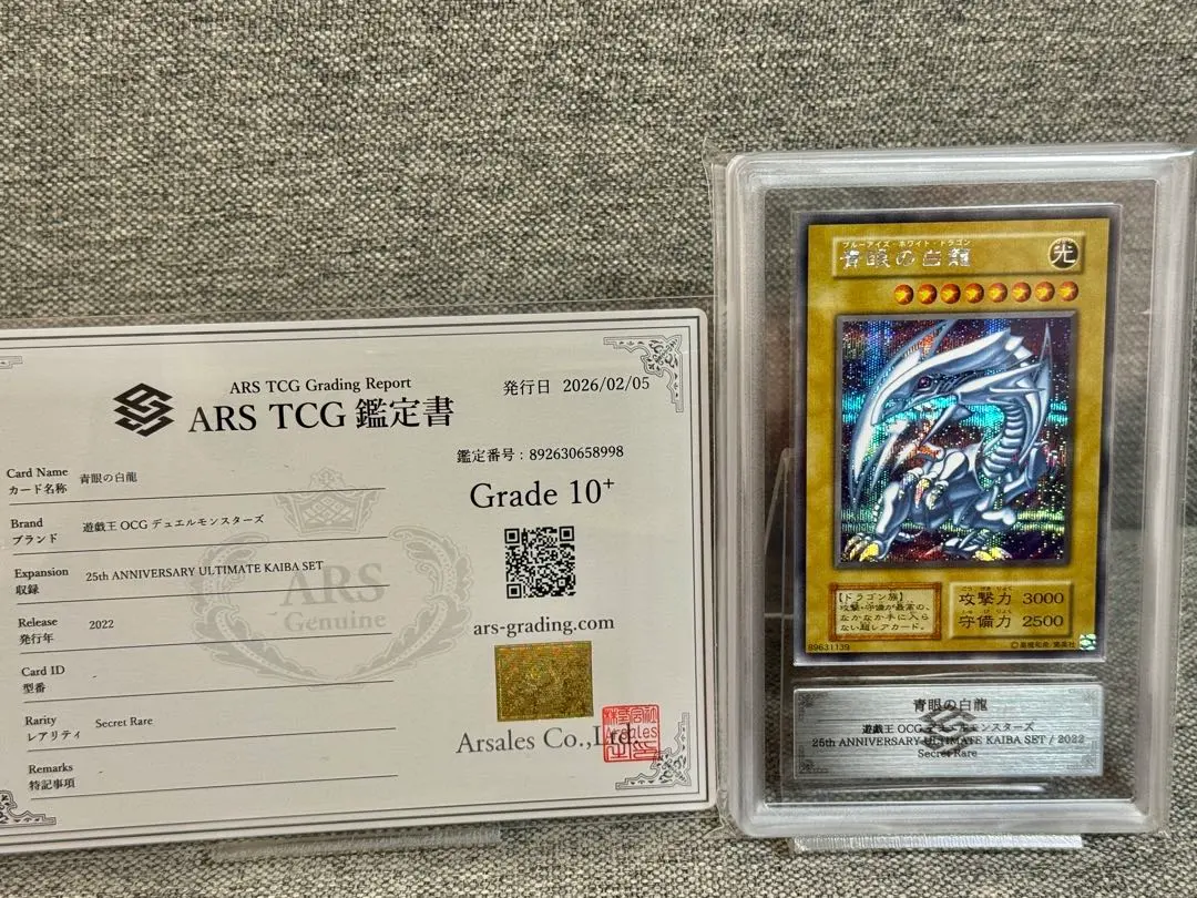 m97743919711_1.jpg?1771600765