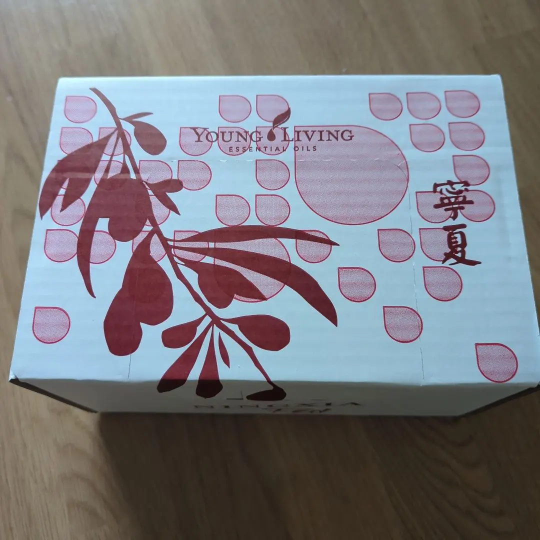 2026年最新】ニンシアレッドの人気アイテム - メルカリ