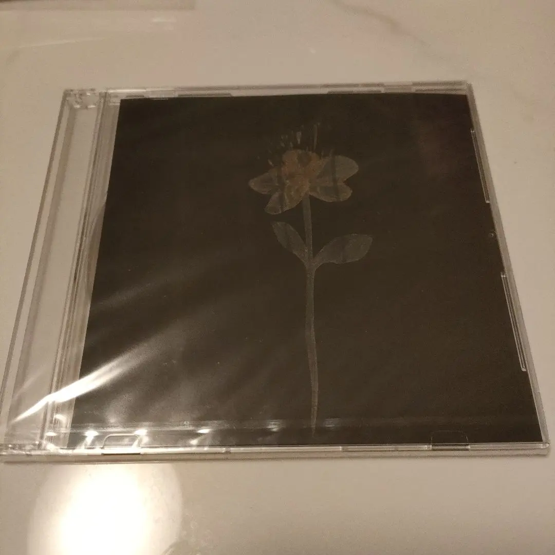 2026年最新】dimlimの人気アイテム - メルカリ