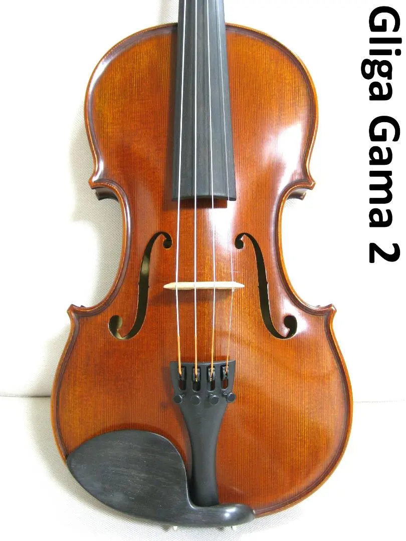 2026年最新】GLIGA バイオリン 4/4の人気アイテム - メルカリ