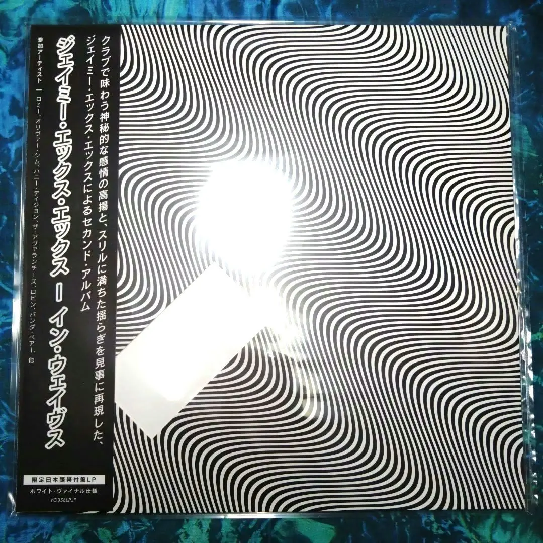 2026年最新】SKRILLEX レコードの人気アイテム - メルカリ