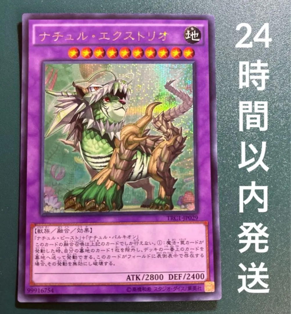 2026年最新】ナチュルエクストリオ シークレットの人気アイテム - メルカリ