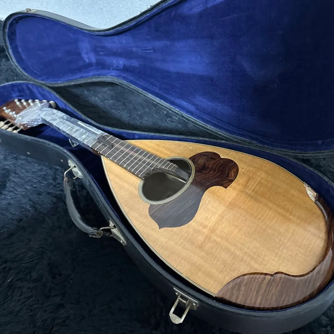 2026年最新】マンドリン 野口の人気アイテム - メルカリ