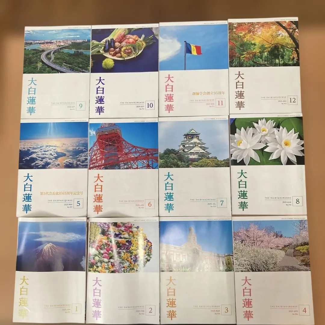 2026年最新】大白蓮華10月の人気アイテム - メルカリ