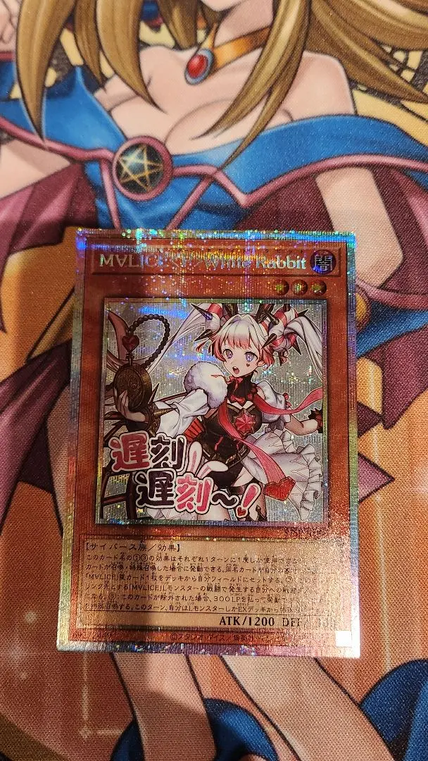 2026年最新】マリスポーンホワイトラビット 25thの人気アイテム - メルカリ