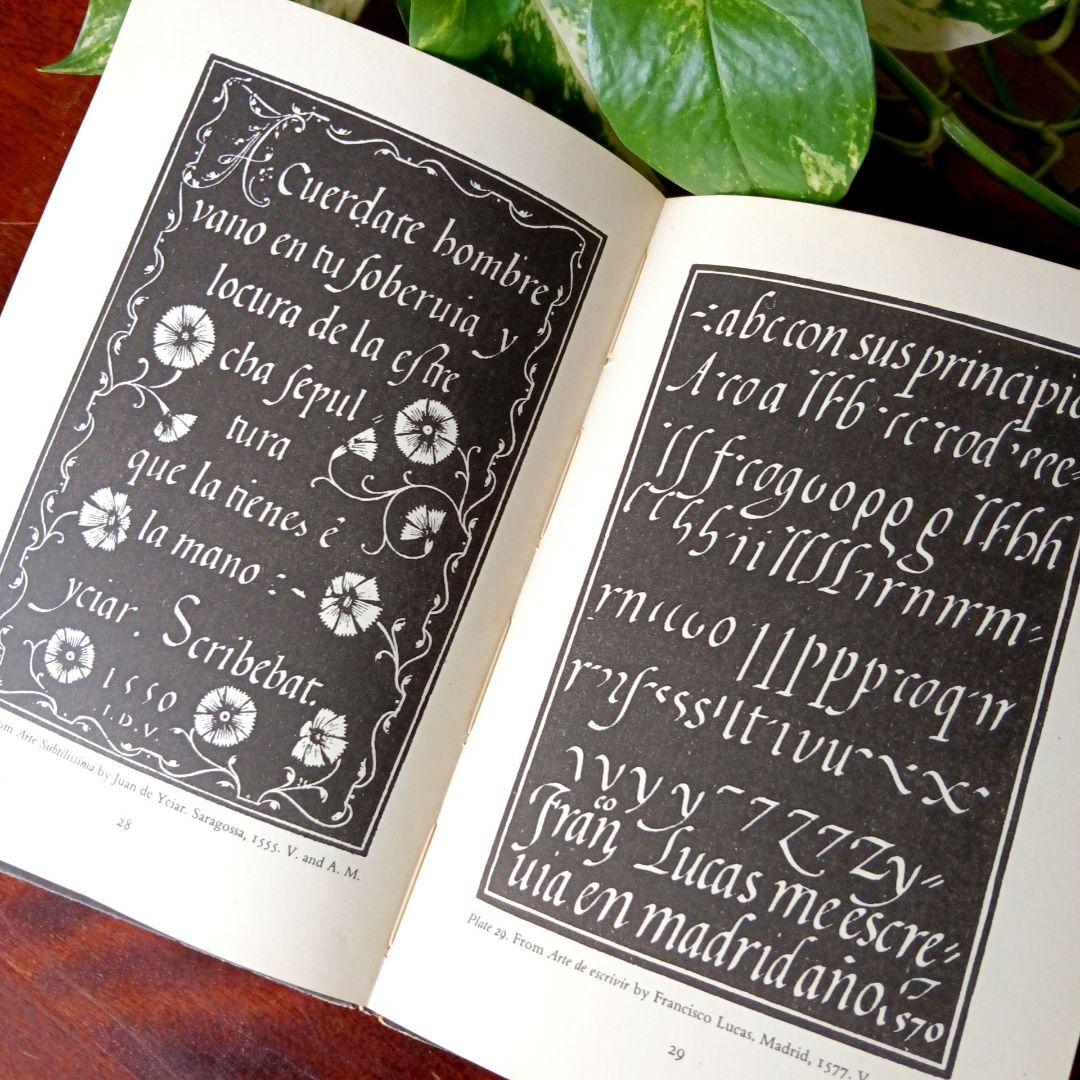 洋書古書1950年 ペンギン文庫 カリグラフィー美しい筆記体