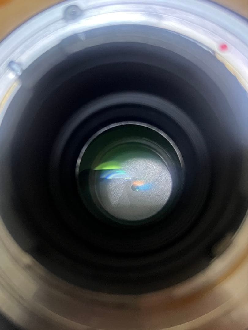 SIGMA 120-400mm F4.5-5.6 Nikon Fマウント