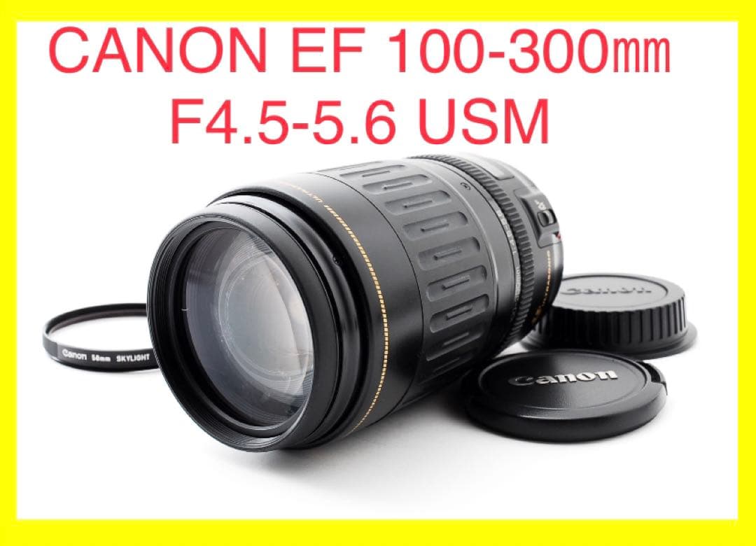 超望遠ズームレンズ　キャノン　Canon EF100-300㎜ Amazon.com : Canon EF 100-300mm f/4.5-5.6 USM Telephoto Zoom Lens