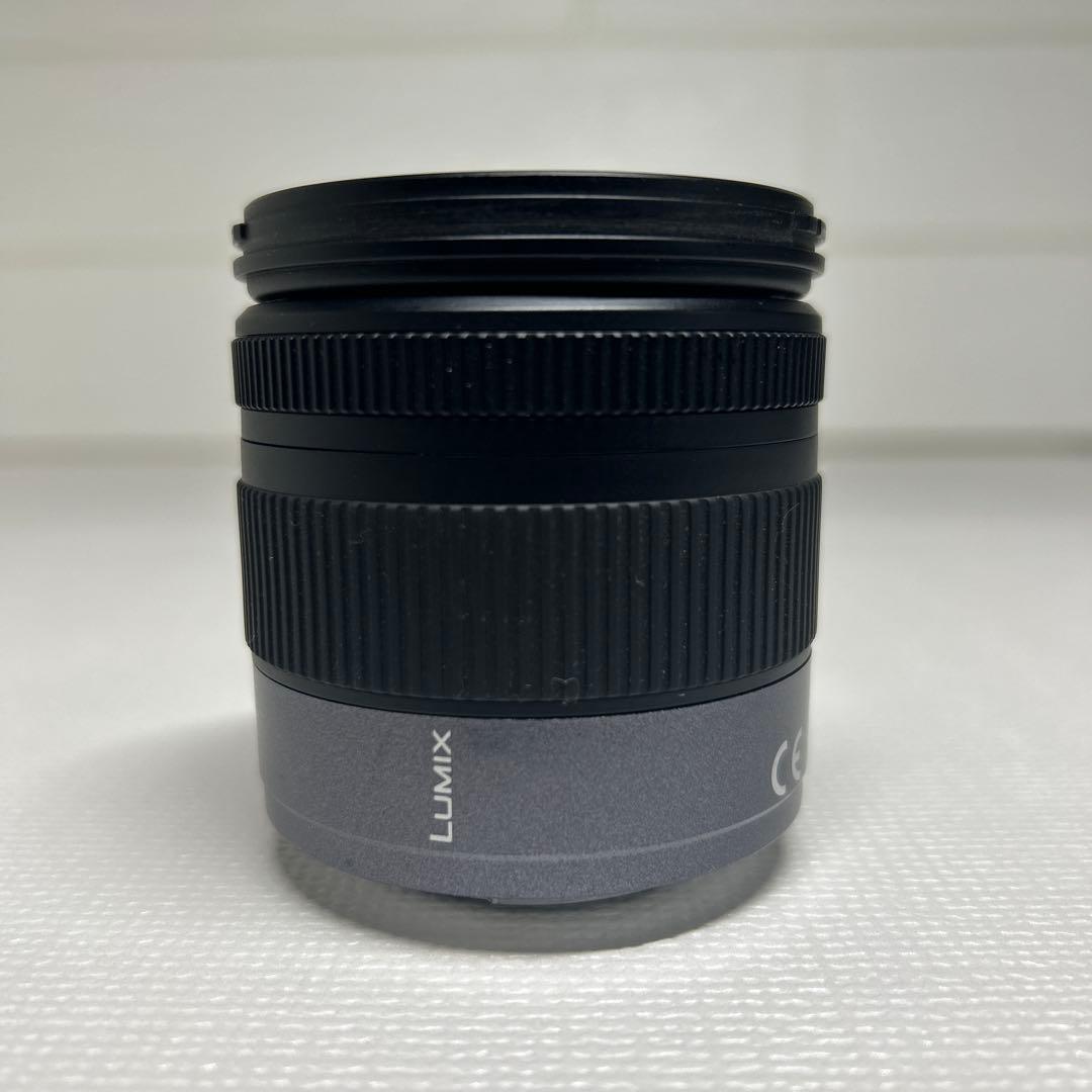 レンズ(ズーム) Panasonic LUMIX G VARIO F3.5-5.6/14-45