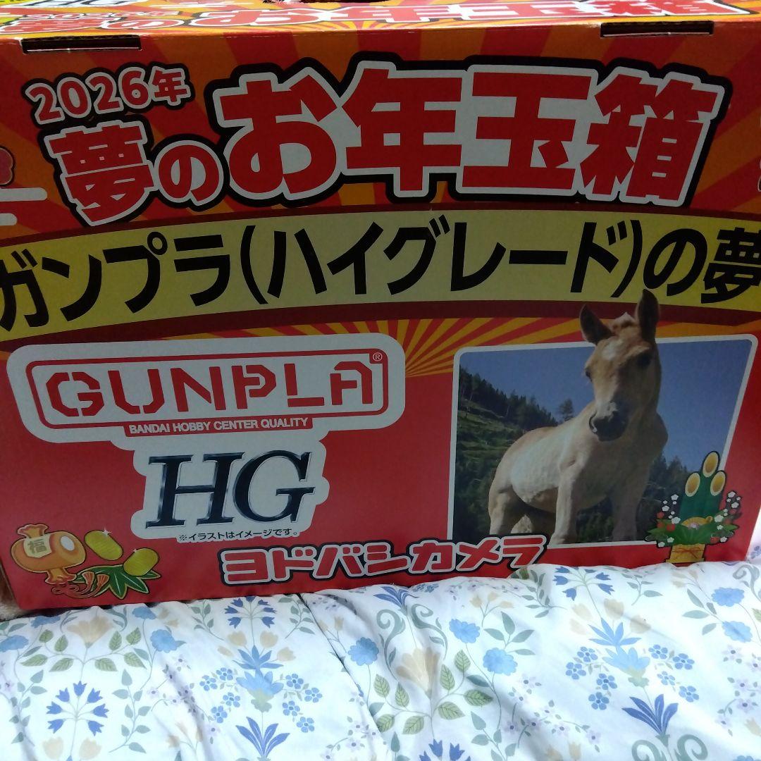 ガンプラ (ハイグレード)の夢 お年玉箱 2026年 ガンプラ福袋】ヨドバシ.com 2026年 夢のお年玉箱 ≪ガンプラの夢