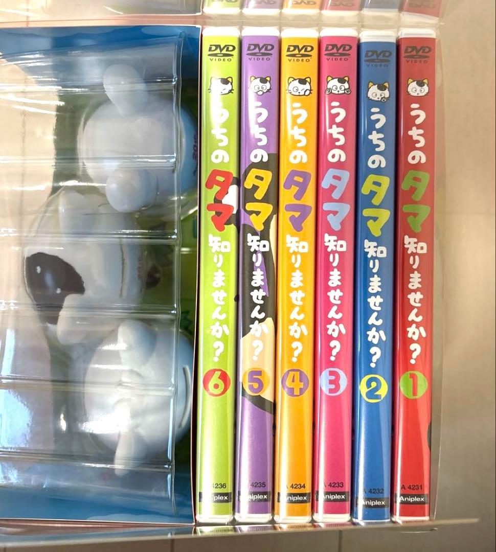 レア DVD うちのタマ知りませんか? 20周年記念 - メルカリ