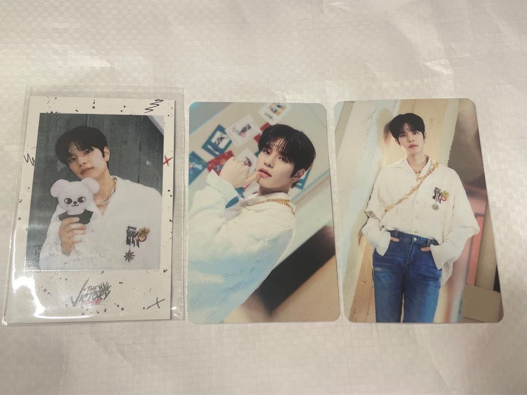 スンミン トレカ Stray Kids THE VICTORY SKZOO - メルカリ