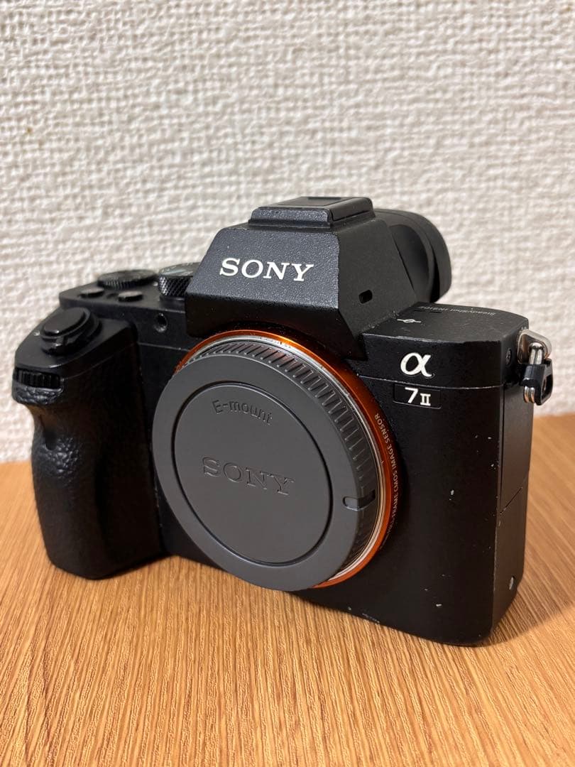 SONY α7 II ミラーレスカメラ 新製品レビュー：ソニーα7 II（実写編） - デジカメ Watch Watch