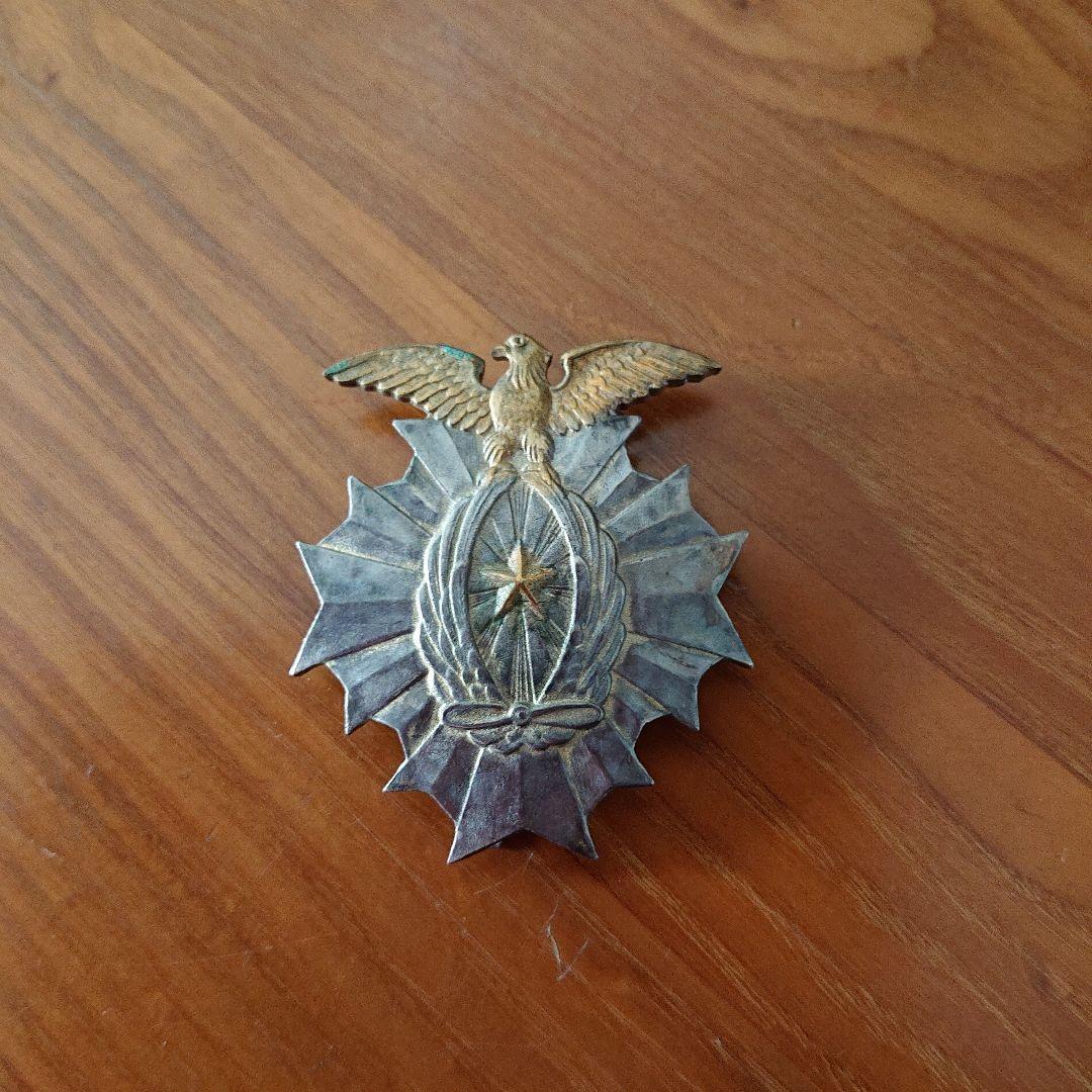 満州派遣 関東軍飛行隊 記念章 日本軍 鷲エンブレムの金属製バッジ Yahoo!オークション -「関東軍」(勲章) (徽章)の落札相場・落札価格