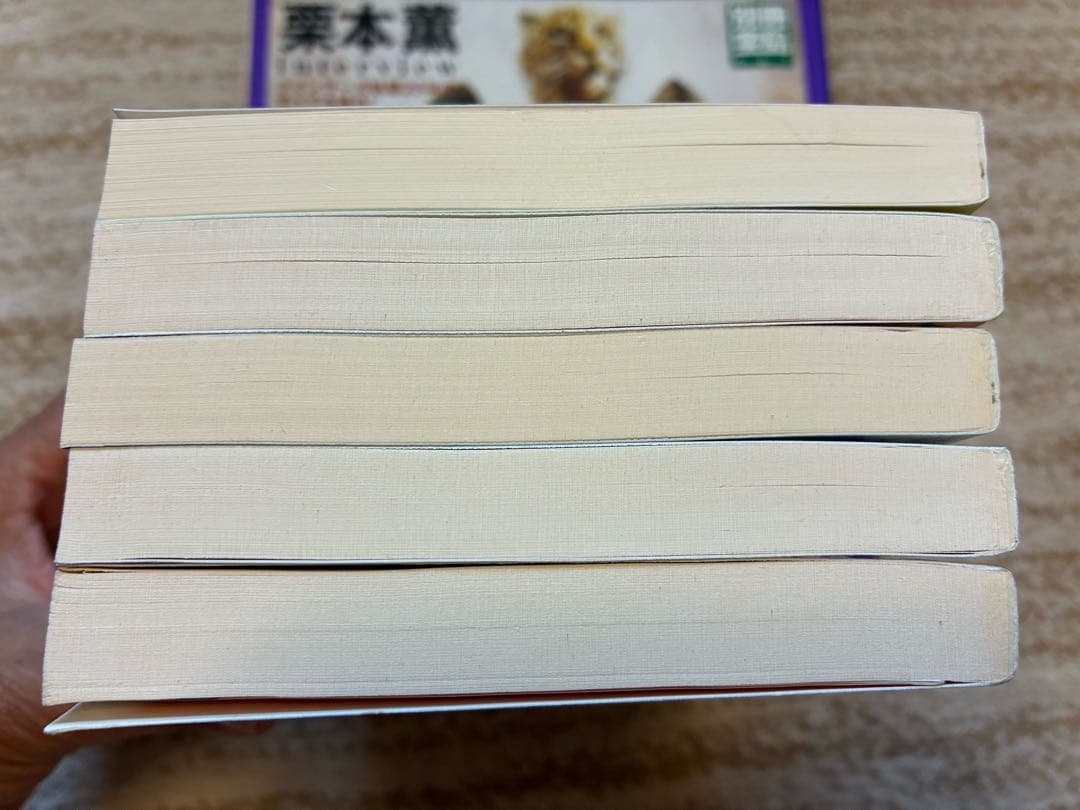 《お値下げ》グイン・サーガシリーズ本編・外伝・関連書籍　合計158冊