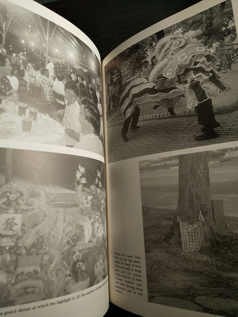 洋書〉多民族性の意味：シンガポールにおける民族性と民族関係のケース