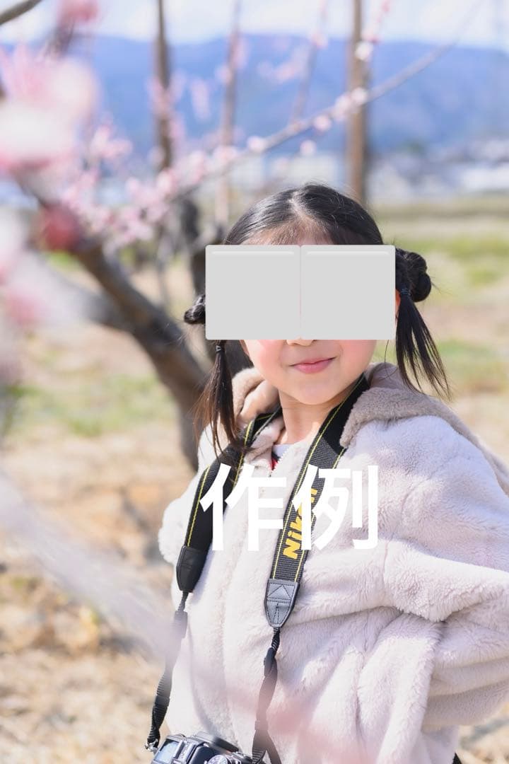 タイムセール⬜️Nikon Z 5 ボディ（即発送可能）⬜️ - メルカリ