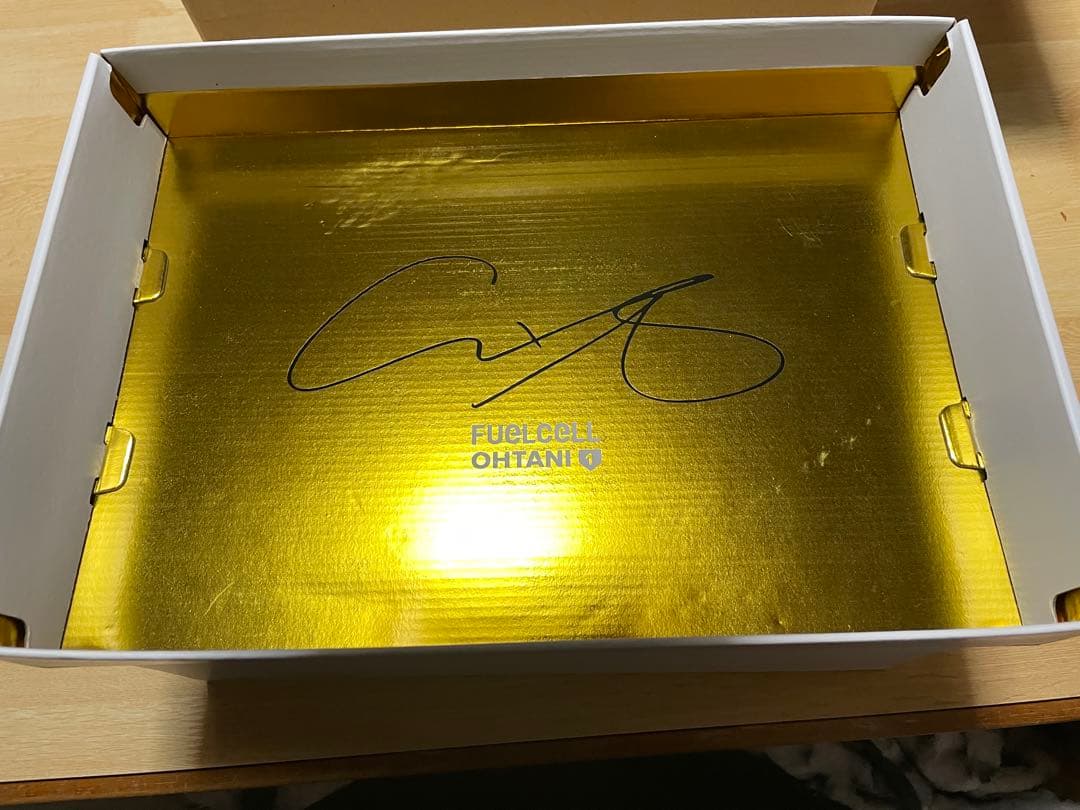 新品未着用 大谷翔平 ニューバランス Ohtani v1 Turf 27.5cm