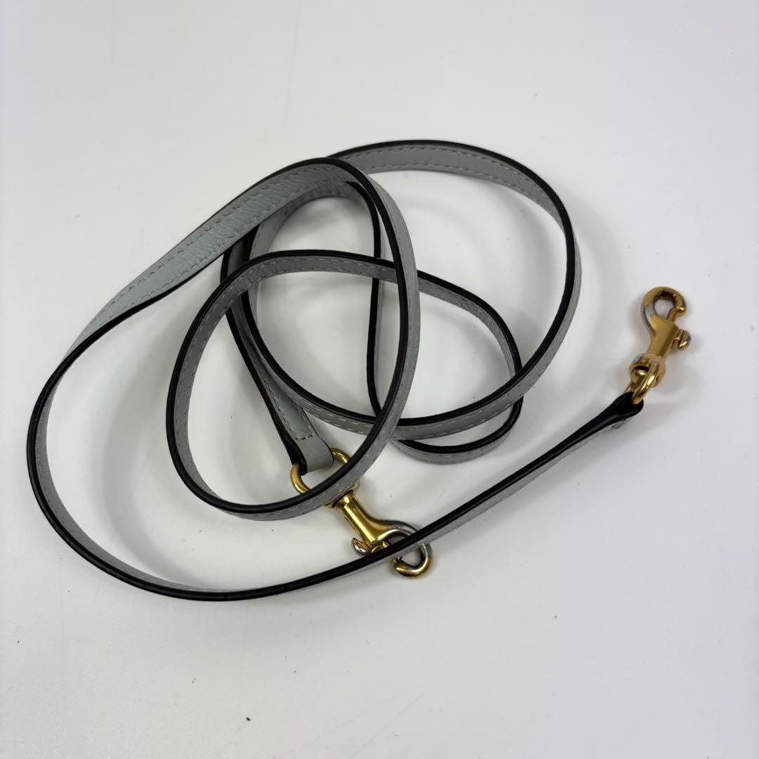 J&M DAVIDSON カメラバッグ ギャビー ゴールド金具 ライトブルー