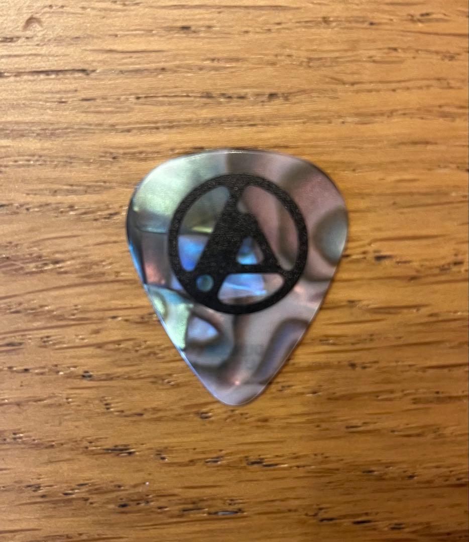 マイクシノダギターピックリンキンパークLinkin Park サイン