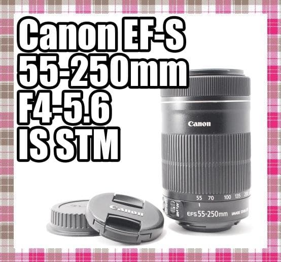 ✨新品同様✨Canon EF-S 55-250mm F4-5.6 IS STM Canon EF-S 55-250mm f/4-5.6 IS STM Review - Budget Excellence