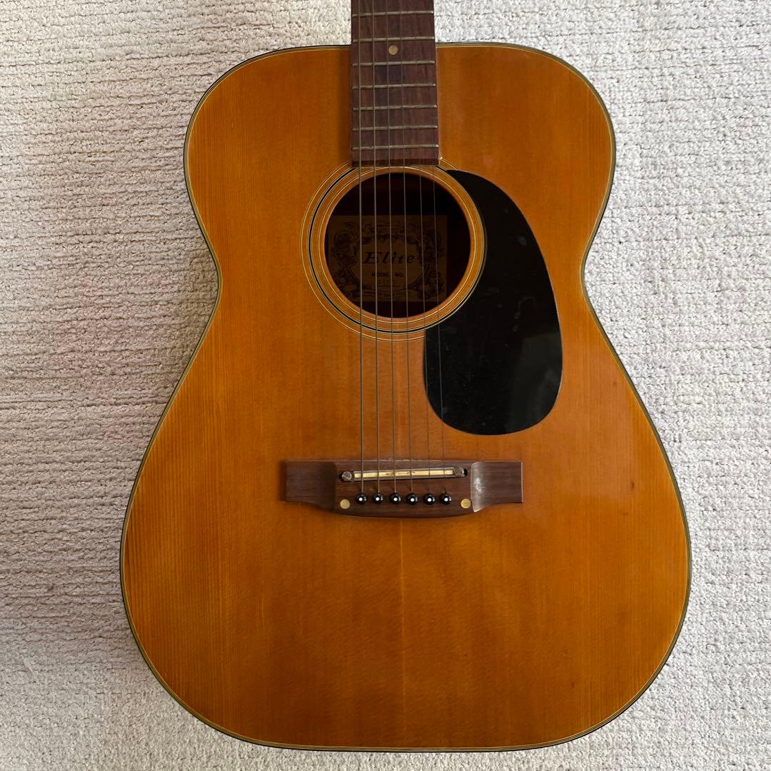 期間限定】Elite Takamine アコースティックギター F120 - メルカリ