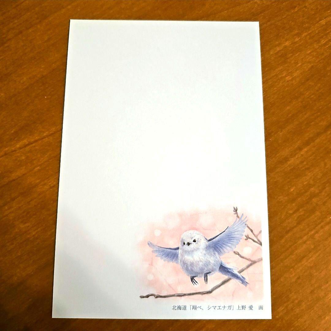年賀はがき シマエナガ 風景印 北海道限定 寄付金付 年賀状 2026年