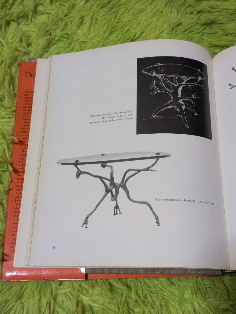 Diego Giacometti 作品集 ハードカバー ディエゴジャコメッティ - メルカリ