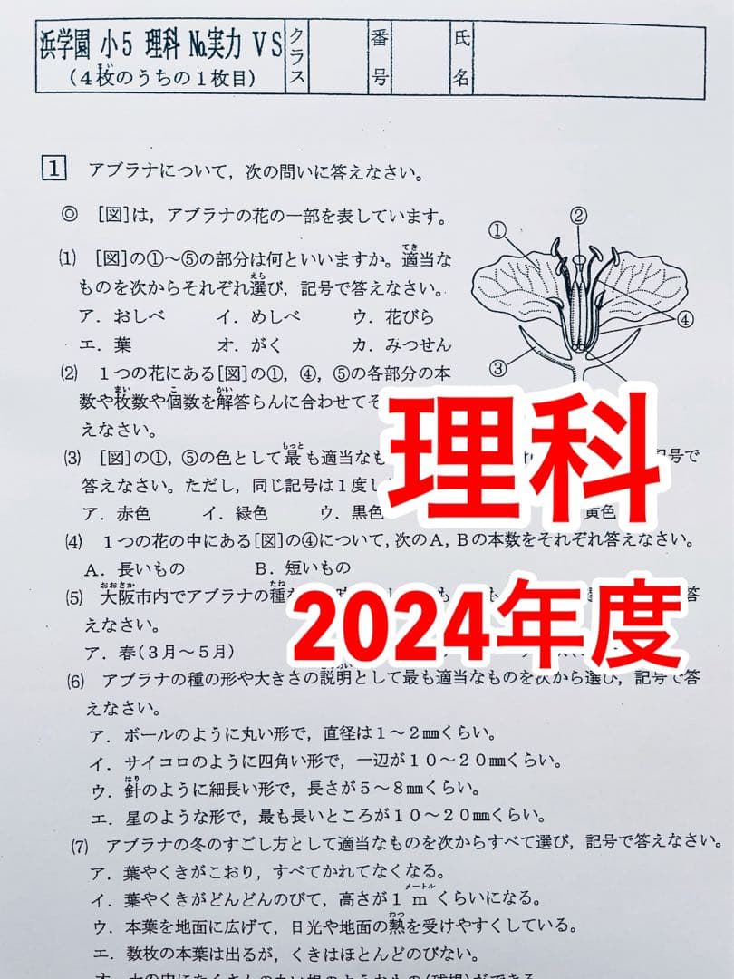 浜学園 最新版 2024年 小5 復習テスト Vクラス 算国理 3