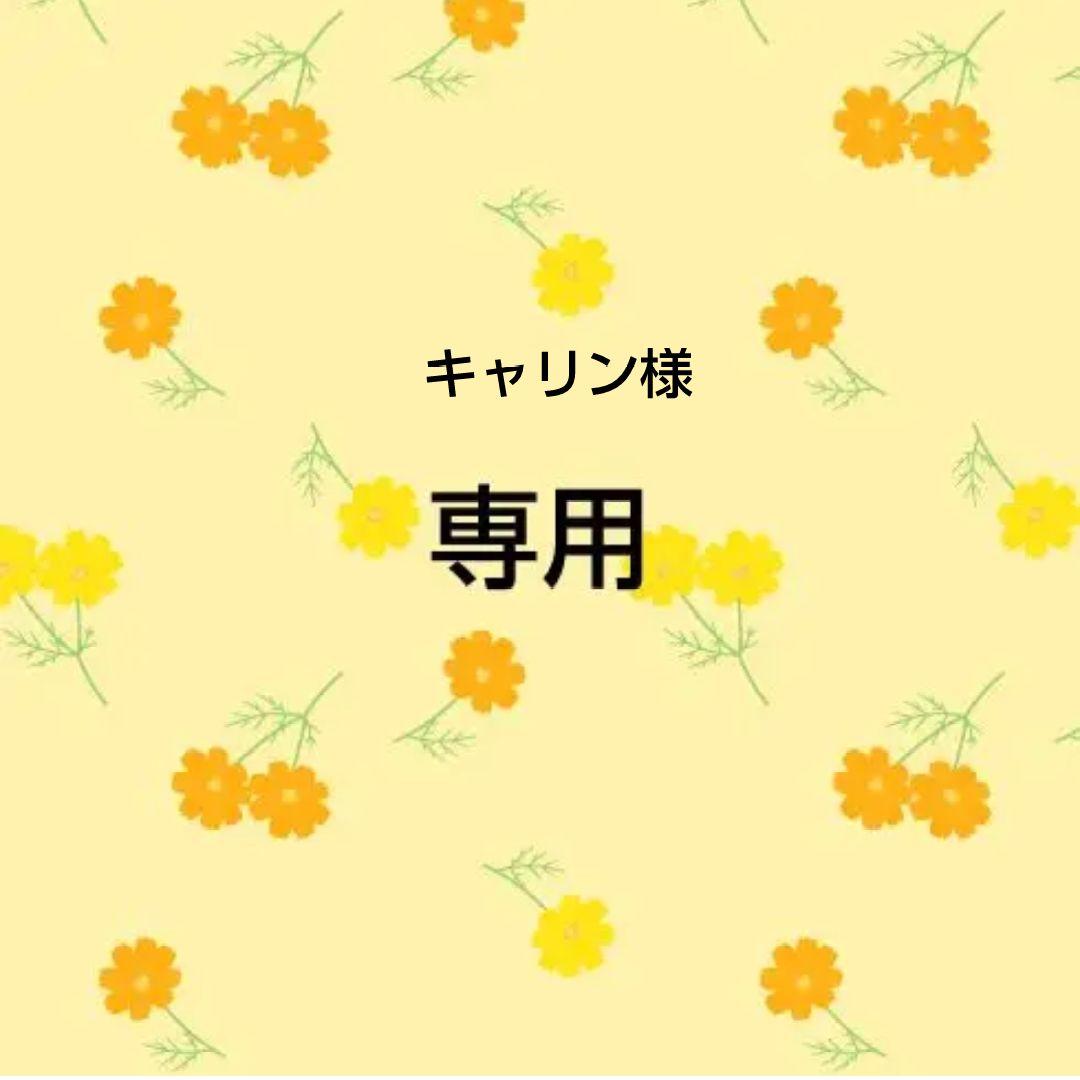 専用　おまとめ品　14点 ZX-14R(12～18) ZZR1400(06～11) アジャスタブルレバー左右セット 可倒