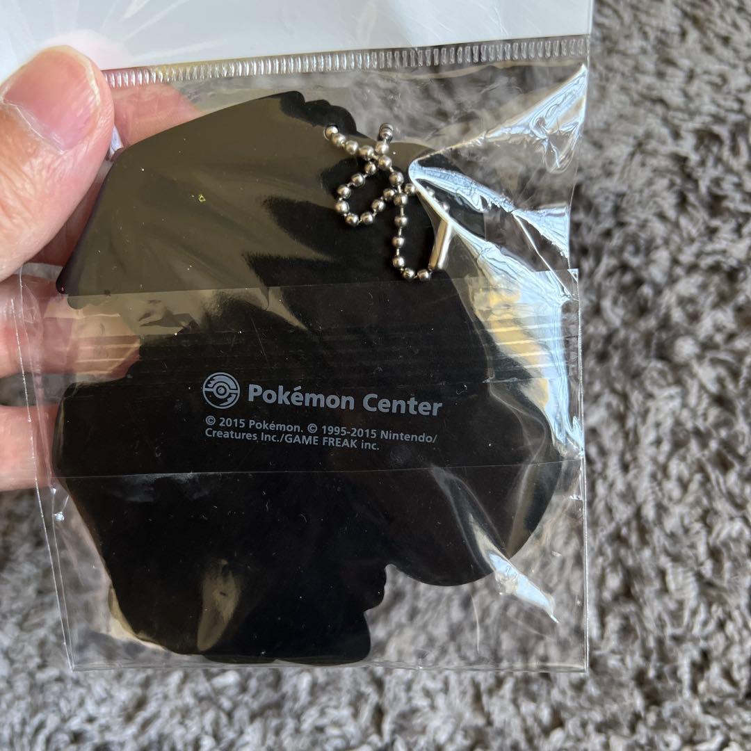 ポケモン ダイゴ BIGラバーキーホルダーコレクション - メルカリ