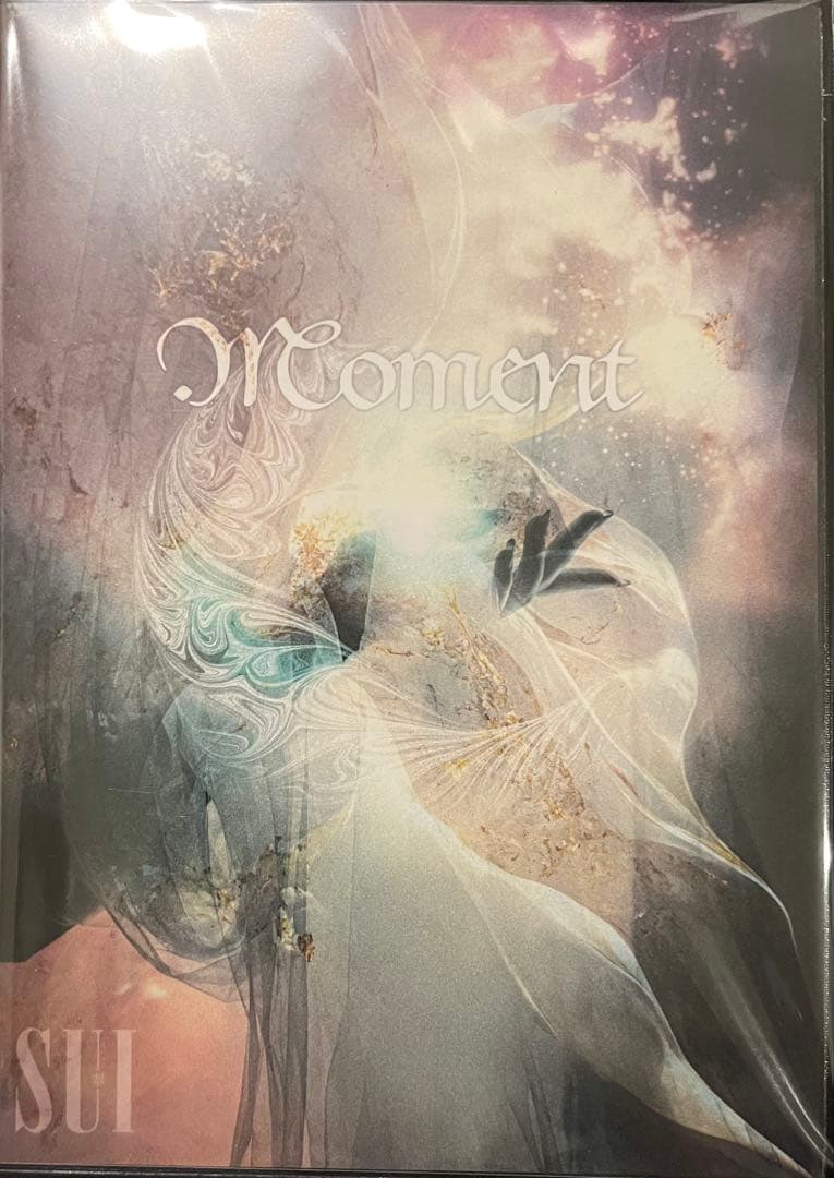 SUI（DAVID） / MOMENT 1991 Kawasaki ZX-7 Original Painting – Iconic Motorbike Auctions