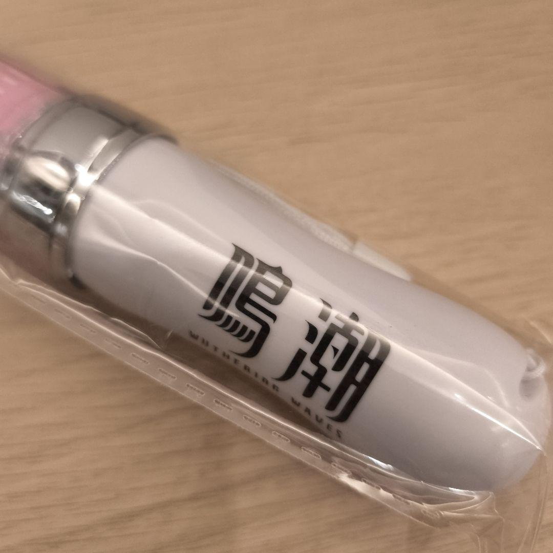 鳴潮 ペンライト エイメス WUWA TOGETHER 特典 おまけ付き - メルカリ