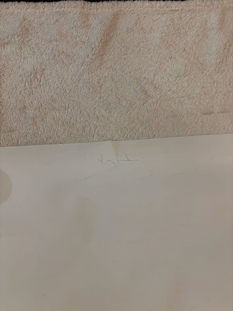 希少B1判映画ポスター 菊次郎の夏 北野武監督作品 久石讓 ビートたけし