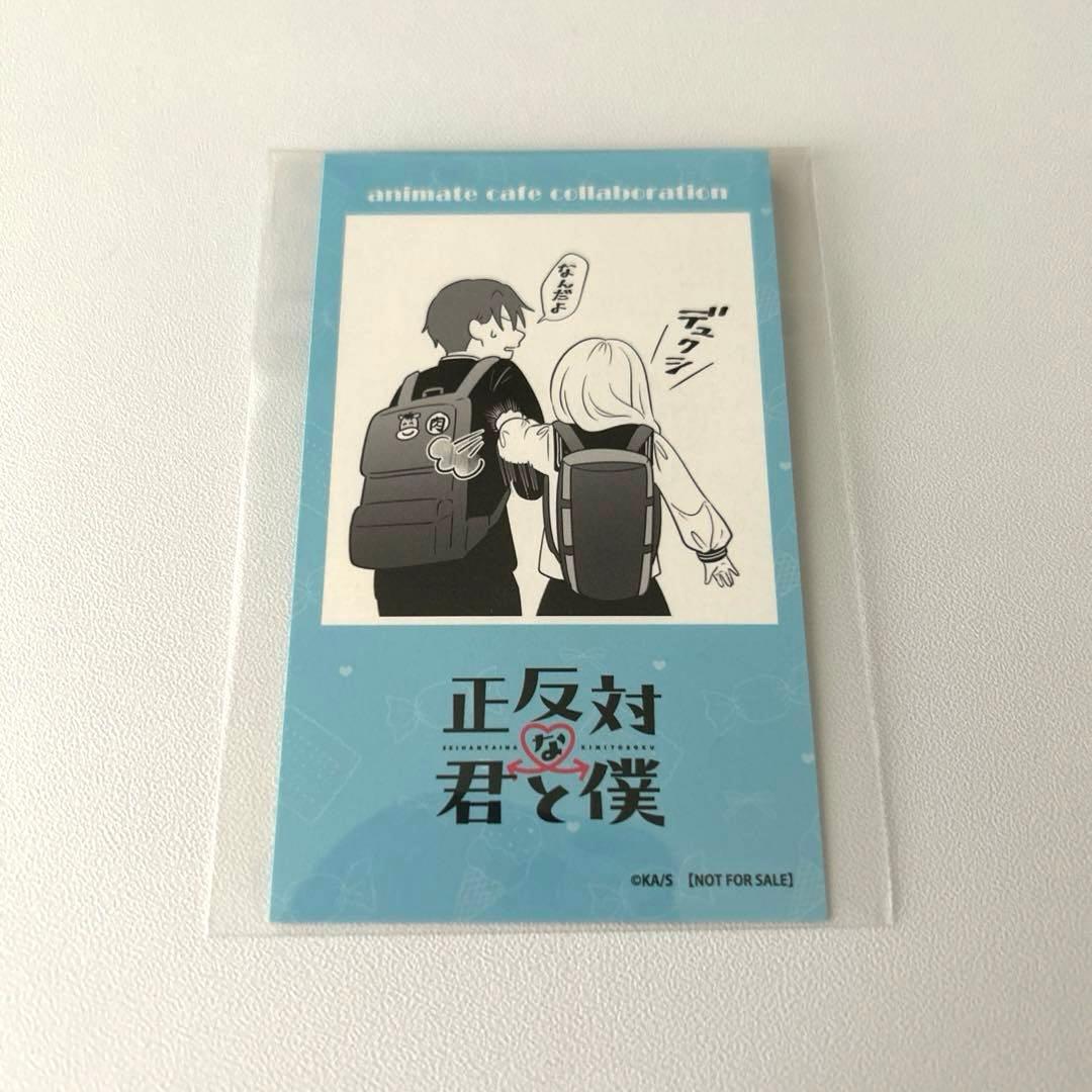 正反対な君と僕 平 東 アニメイトカフェ 購入特典 イラストカード
