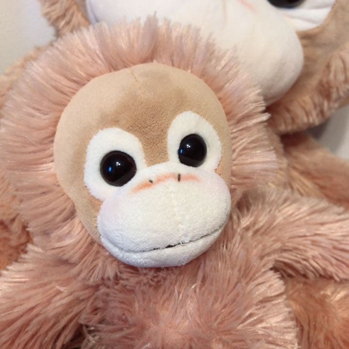 Baby CoCo ぬいぐるみ ベイビーココ 親子セット - メルカリ