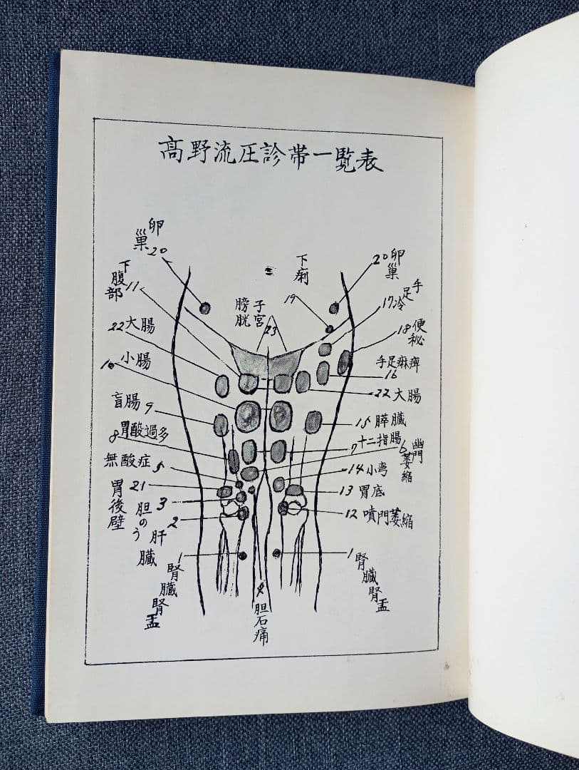 高野流圧診療法秘伝書　高野豊行　非売品