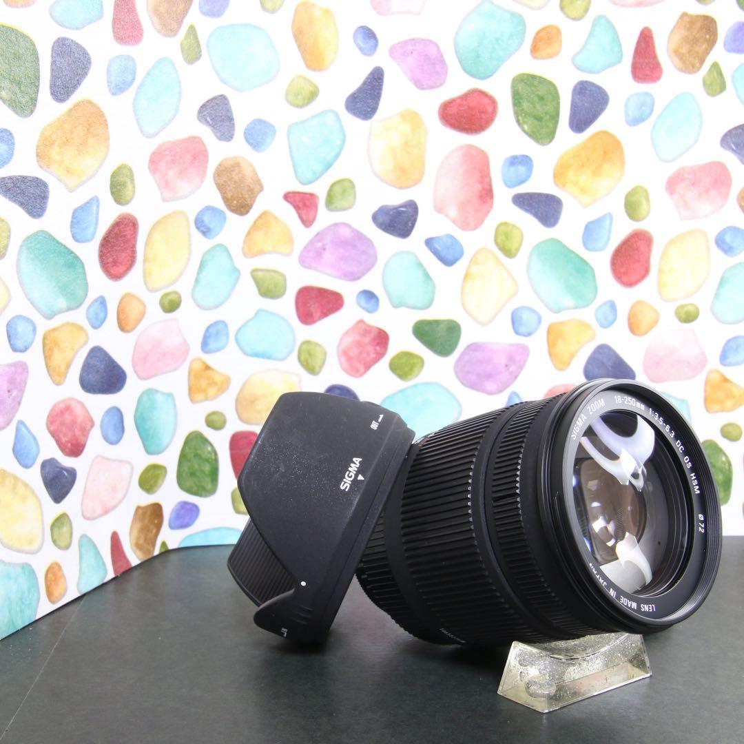 ♥︎◇近くから遠くまでこれ一本♪ SIGMA 18-250mm OS PENTAX Amazon.com : Sigma Corporation of America883109Sigma 18-250mm f3.5