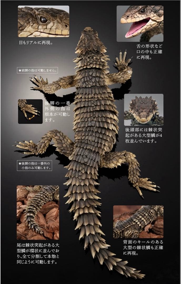 いきもの大図鑑アルティメット オオヨロイトカゲ 新品未開封 - メルカリ