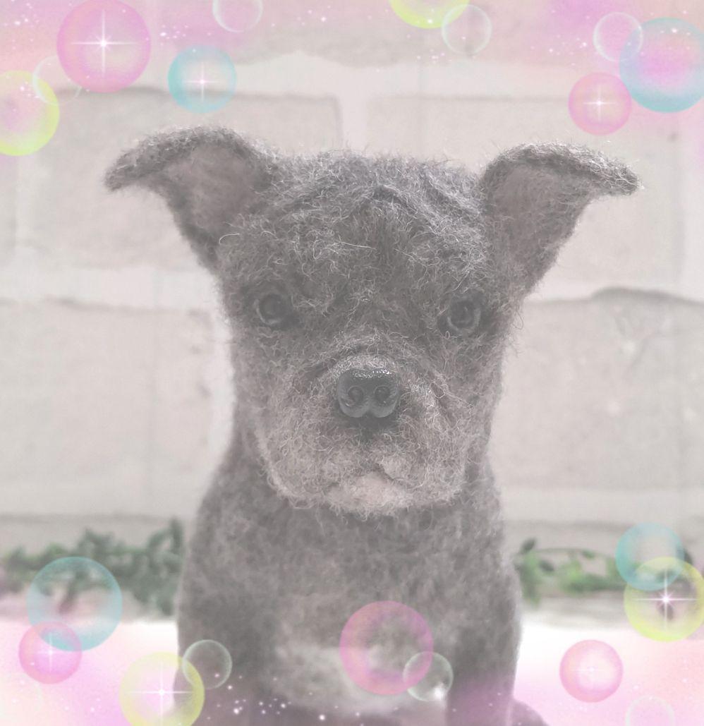 は♡うちの子オーダー♡羊毛フェルト♪ハンドメイド☆ うちの子オーダー 羊毛フェルト | iichi 日々の暮らしを心地よくする