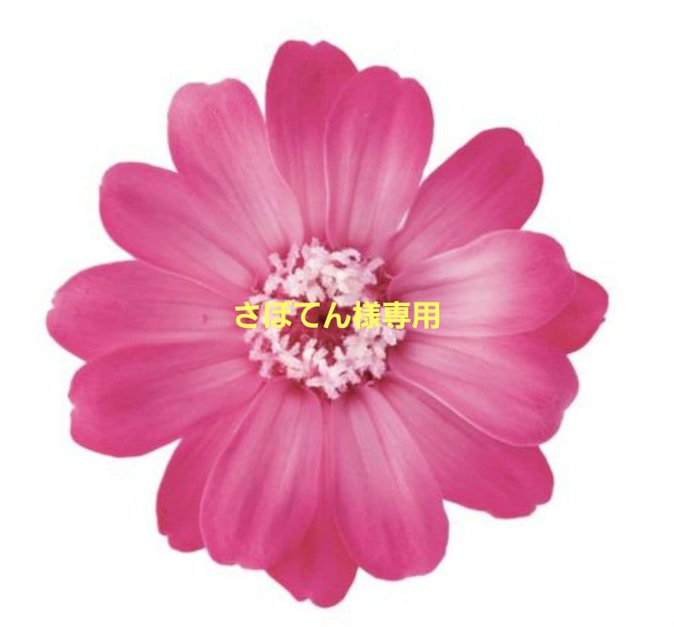 さぼてんページ とんかつ新宿さぼてん