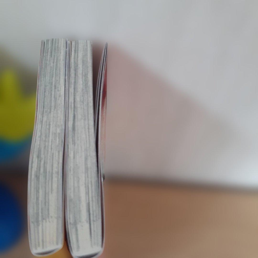 強引社長の過剰な独占愛 　全2巻