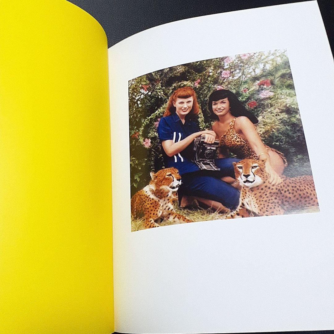 Bettie Page: Queen of Curves ベティペイジ - メルカリ