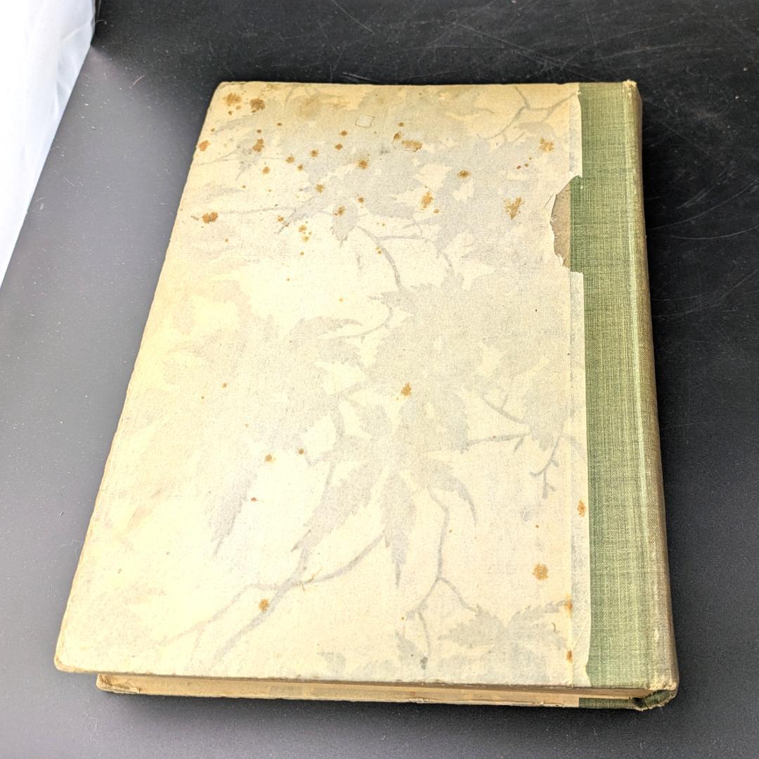 初版 アーサー・ラッカム挿画紋本 カラーイラスト全揃いジークフリート