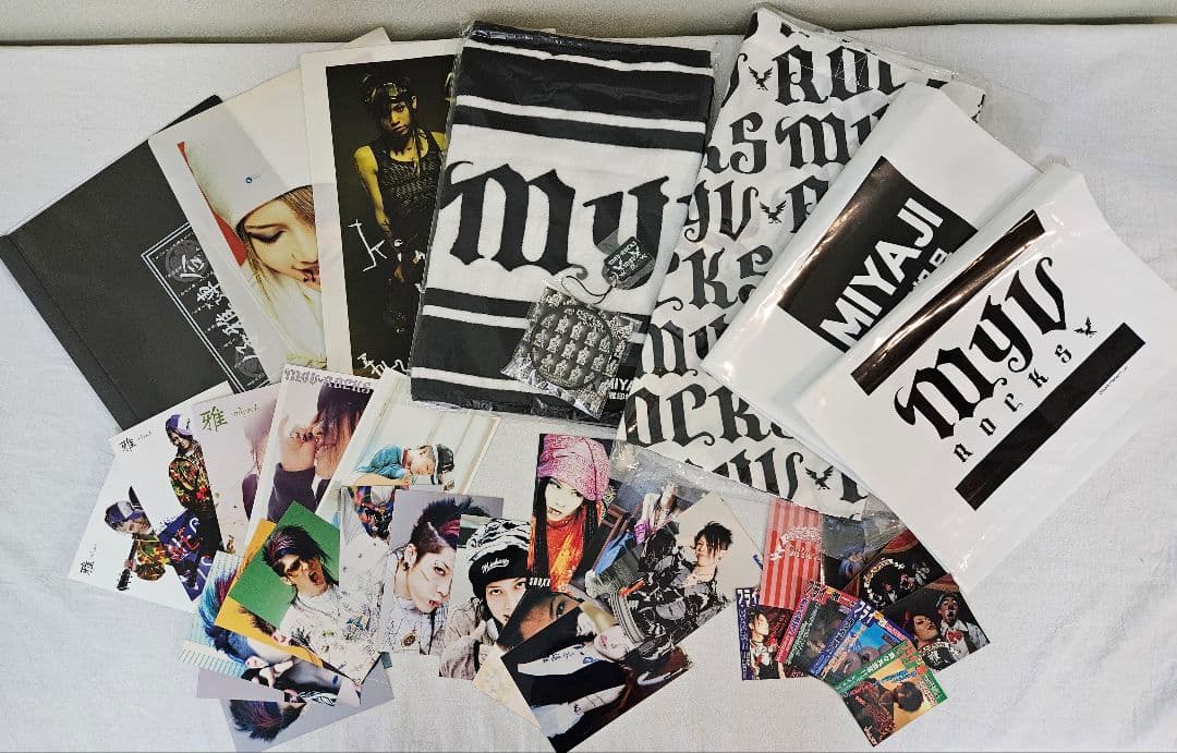 ８月中限定価格【MIYAVI 】ポストカード、写真、エコバッグ、タオル、等 雅風 ポストカードホルダー〈グレートウェーブ〉 – セキセイ株式会社