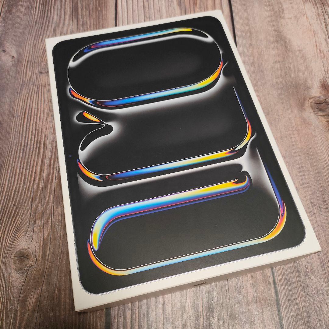 iPad Pro 11インチ M4 256GB スペースグレー 新品近い iPad Pro 11インチ 256GB スペースグレイ MTXQ2J／A Wi-Fi スペース