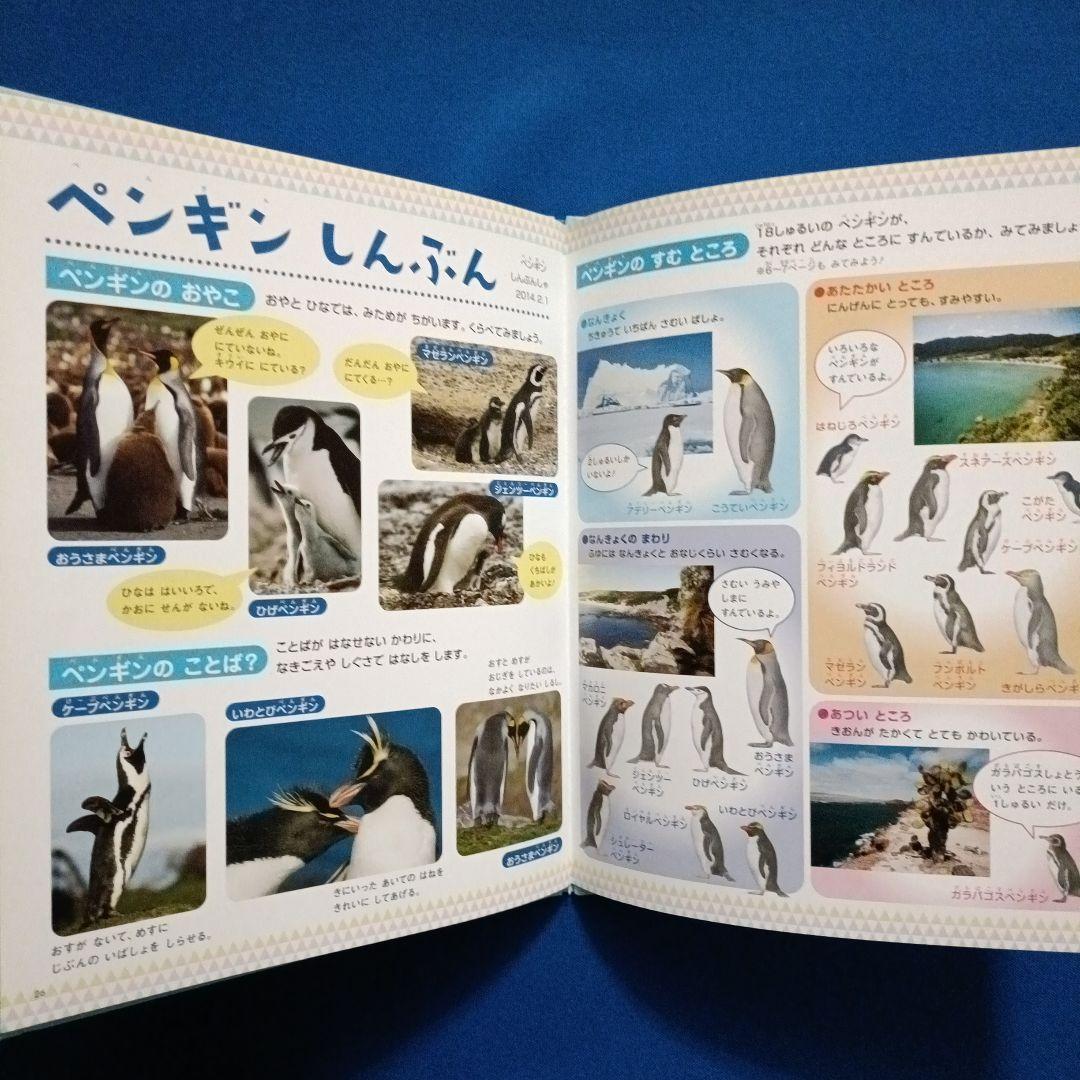 ビッグサイエンス キンダーブックしぜん こどものくに ペンギンさんの