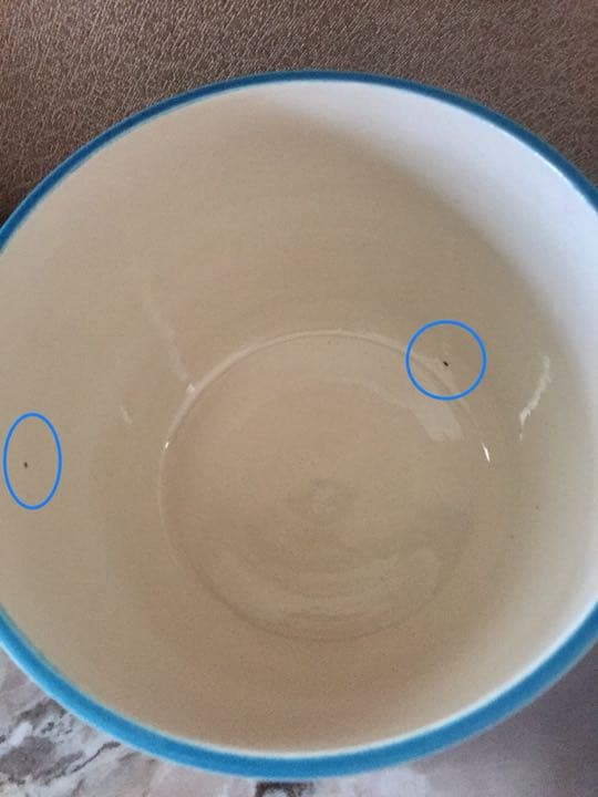 茶道具 水指 中村翠嵐 七宝草花浅黄交趾水指 美品 - メルカリ